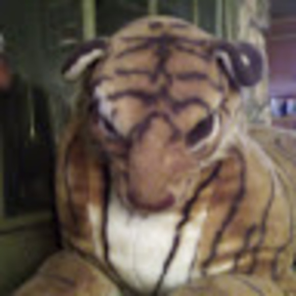 Meet your Posher, Gary - Picture 1 of 1